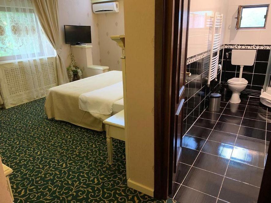 Cazare Plopii Fara Sot Iasi Luaran gambar